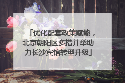 优化配套政策赋能，北京朝阳区多措并举助力长沙宾馆转型升级