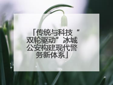 传统与科技“双轮驱动”冰城公安构建现代警务新体系