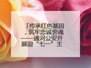 传承红色基因，筑牢忠诚警魂——通河公安开展迎“七一”主题党日活动