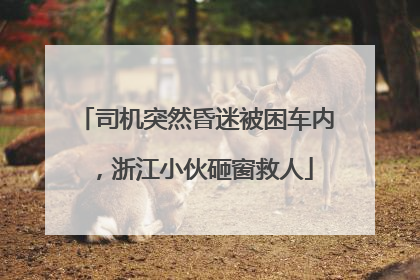 司机突然昏迷被困车内，浙江小伙砸窗救人
