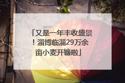 又是一年丰收盛景！淄博临淄29万余亩小麦开镰啦