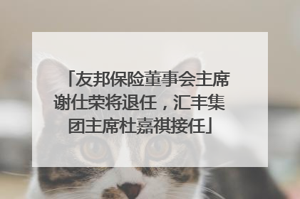友邦保险董事会主席谢仕荣将退任，汇丰集团主席杜嘉祺接任