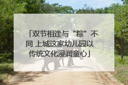 双节相逢与“粽”不同 上城这家幼儿园以传统文化浸润童心