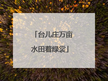 台儿庄万亩水田着绿裳