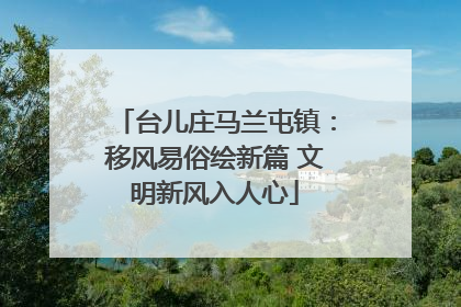 台儿庄马兰屯镇：移风易俗绘新篇 文明新风入人心