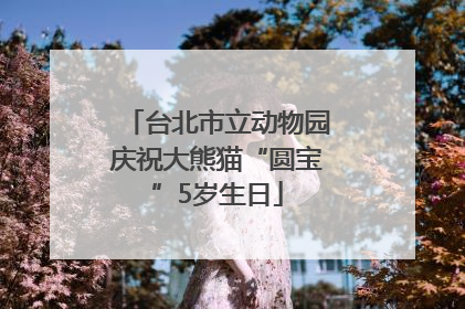 台北市立动物园庆祝大熊猫“圆宝”5岁生日