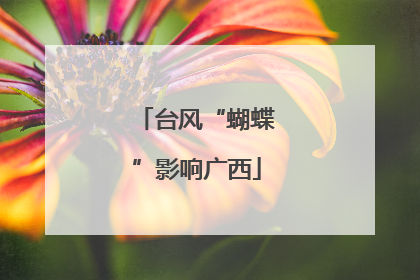 台风“蝴蝶”影响广西