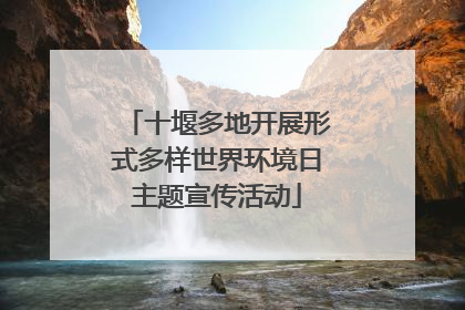 十堰多地开展形式多样世界环境日主题宣传活动