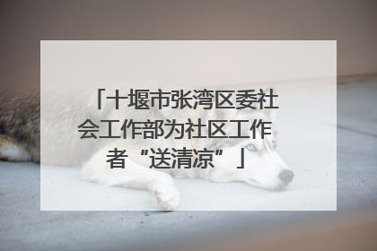 十堰市张湾区委社会工作部为社区工作者“送清凉”