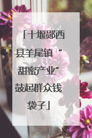 十堰郧西县羊尾镇“甜蜜产业”鼓起群众钱袋子