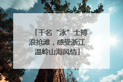 千名“泳”士搏浪抢滩，感受浙江温岭山海风情