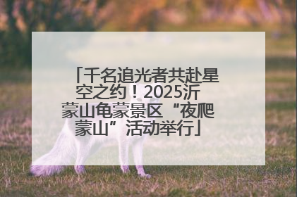 千名追光者共赴星空之约！2025沂蒙山龟蒙景区“夜爬蒙山”活动举行