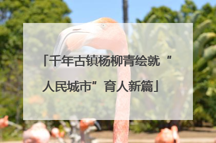 千年古镇杨柳青绘就“人民城市”育人新篇