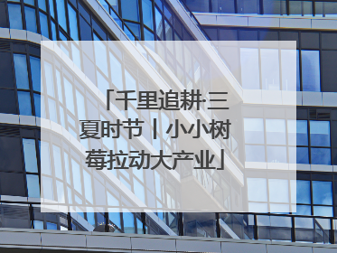 千里追耕·三夏时节丨小小树莓拉动大产业