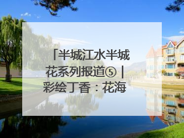 半城江水半城花系列报道⑤｜彩绘丁香：花海映照一座城
