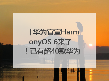 华为官宣HarmonyOS 6来了！已有超40款华为终端搭载鸿蒙5，开发者突破800万