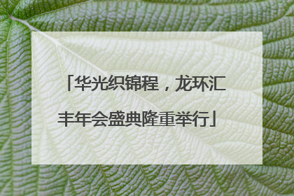 华光织锦程，龙环汇丰年会盛典隆重举行