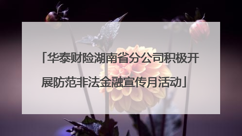 华泰财险湖南省分公司积极开展防范非法金融宣传月活动