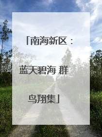 南海新区：蓝天碧海 群鸟翔集