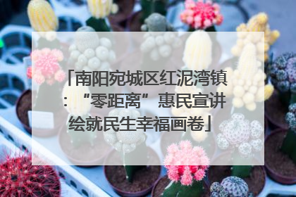 南阳宛城区红泥湾镇：“零距离”惠民宣讲 绘就民生幸福画卷