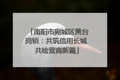 南阳市宛城区黄台岗镇：共筑信用长城 共绘营商新篇