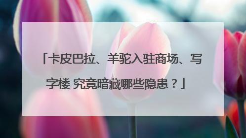 卡皮巴拉、羊驼入驻商场、写字楼 究竟暗藏哪些隐患？