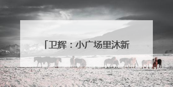 卫辉：小广场里沐新风 移风易俗入民心