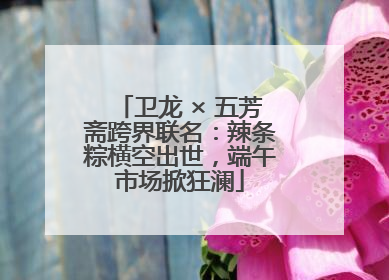 卫龙 × 五芳斋跨界联名：辣条粽横空出世，端午市场掀狂澜