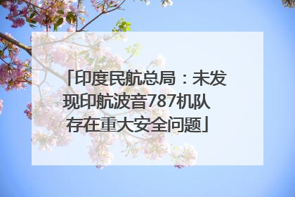 印度民航总局：未发现印航波音787机队存在重大安全问题