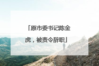 原市委书记陈金虎，被责令辞职