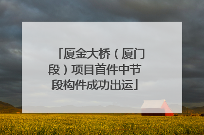 厦金大桥（厦门段）项目首件中节段构件成功出运