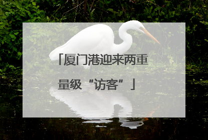厦门港迎来两重量级“访客”
