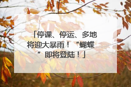停课、停运、多地将迎大暴雨！“蝴蝶”即将登陆！