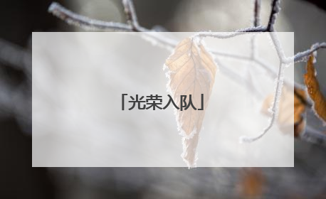 光荣入队
