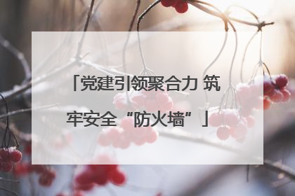 党建引领聚合力 筑牢安全“防火墙”