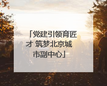 党建引领育匠才 筑梦北京城市副中心