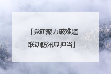 党建聚力破难题 联动防汛显担当