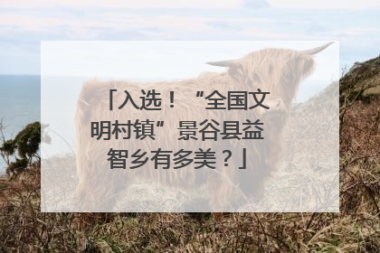 入选！“全国文明村镇”景谷县益智乡有多美？