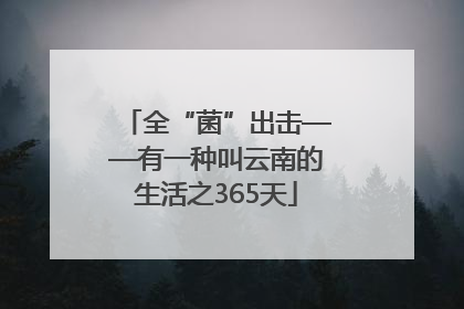 全“菌”出击——有一种叫云南的生活之365天