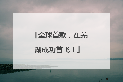 全球首款，在芜湖成功首飞！