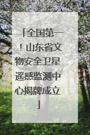 全国第一！山东省文物安全卫星遥感监测中心揭牌成立
