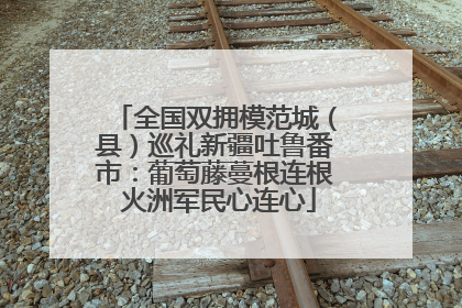 全国双拥模范城（县）巡礼新疆吐鲁番市：葡萄藤蔓根连根 火洲军民心连心