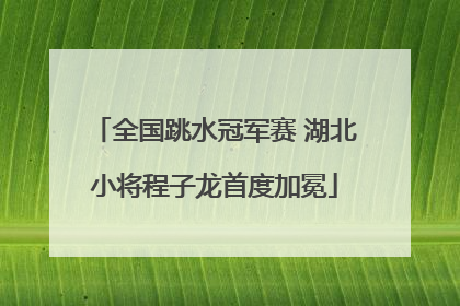 全国跳水冠军赛 湖北小将程子龙首度加冕