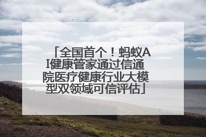 全国首个！蚂蚁AI健康管家通过信通院医疗健康行业大模型双领域可信评估