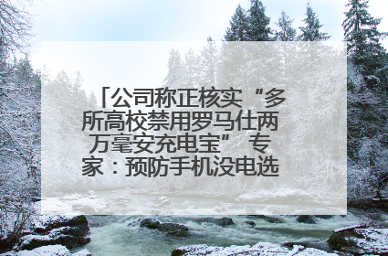 公司称正核实“多所高校禁用罗马仕两万毫安充电宝” 专家：预防手机没电选中等体积产品即可