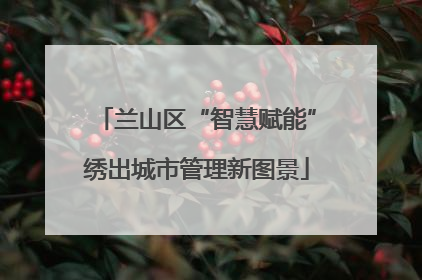 兰山区“智慧赋能”绣出城市管理新图景