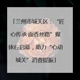 兰州市城关区：“匠心传承·面香丝路”媒体行启幕，助力“心动城关”消费提振