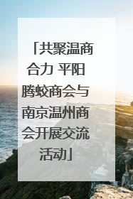 共聚温商合力 平阳腾蛟商会与南京温州商会开展交流活动