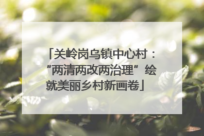 关岭岗乌镇中心村：“两清两改两治理”绘就美丽乡村新画卷