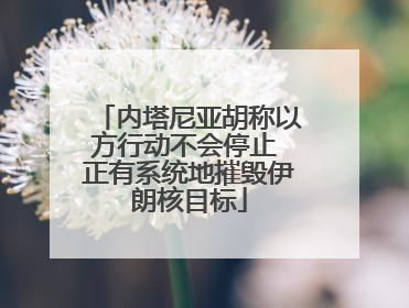 内塔尼亚胡称以方行动不会停止 正有系统地摧毁伊朗核目标
